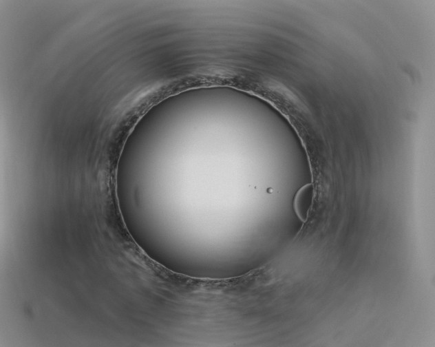 X0000114160773200910151605