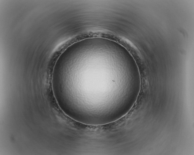 X0000114160775200910151605