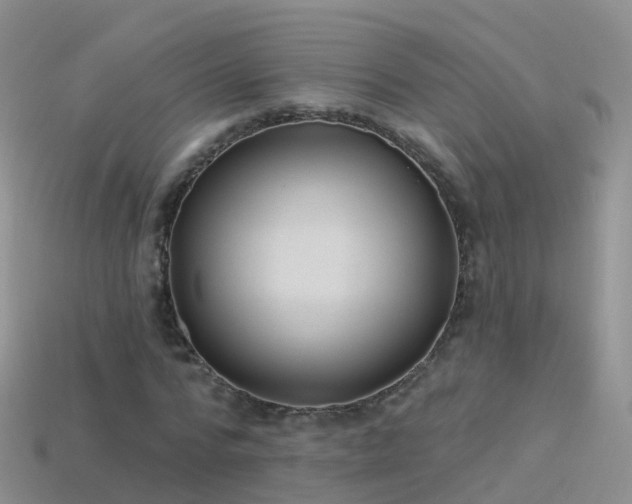 X0000114160776200910151605