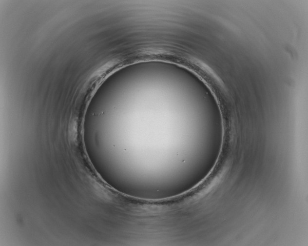 X0000114160777200910151605