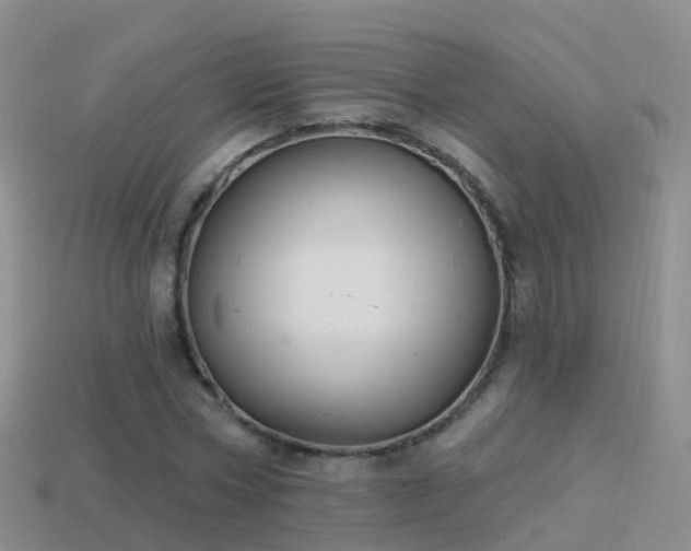 X0000114160778200910151605