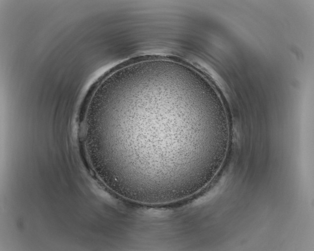 X0000114160779200910151605