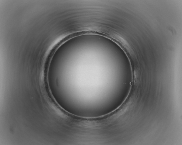 X0000114160780200910151605