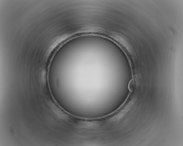 X0000114160781200910151605