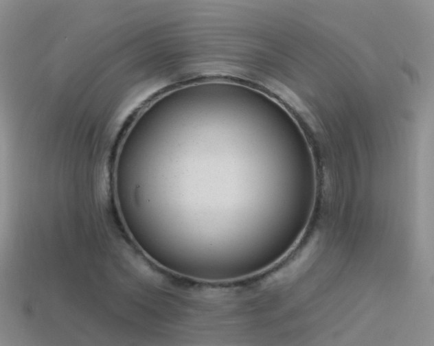 X0000114160782200910151605