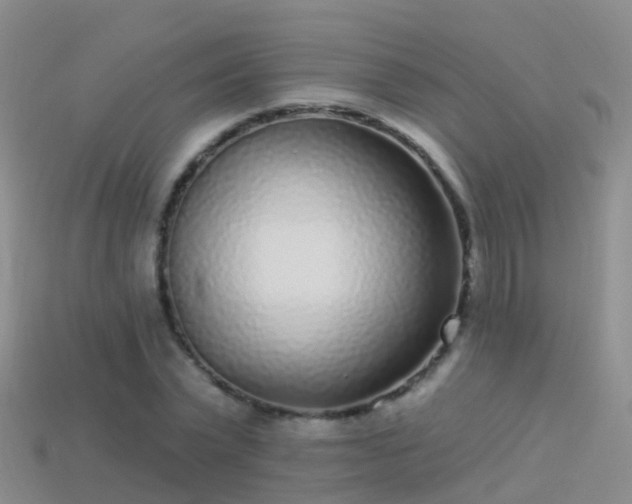 X0000114160783200910151605