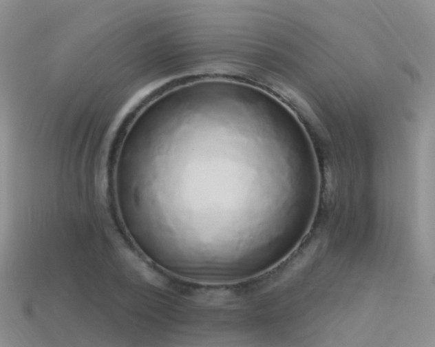 X0000114160784200910151605