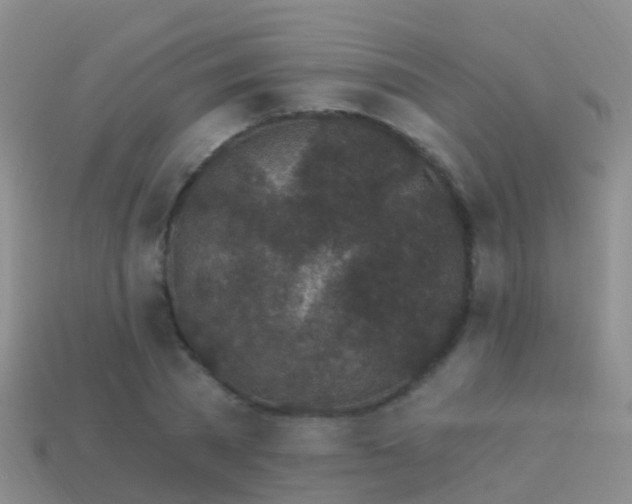 X0000114160785200910151605