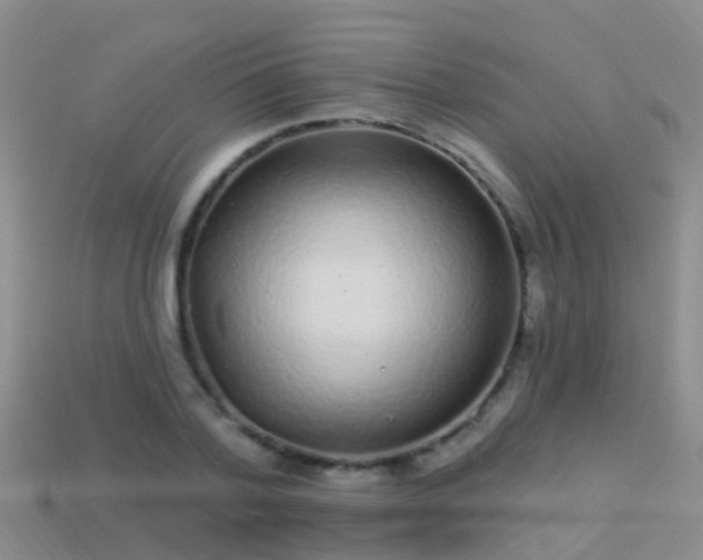 X0000114160788200910151605