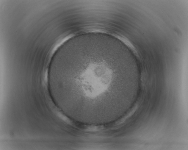 X0000114160790200910151605