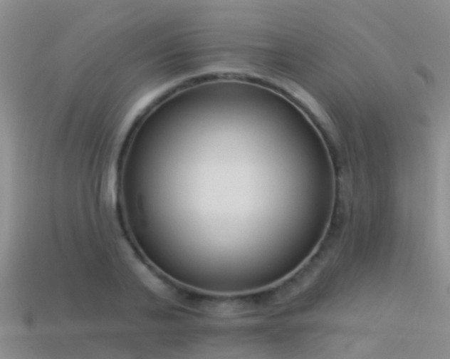 X0000114160791200910151605