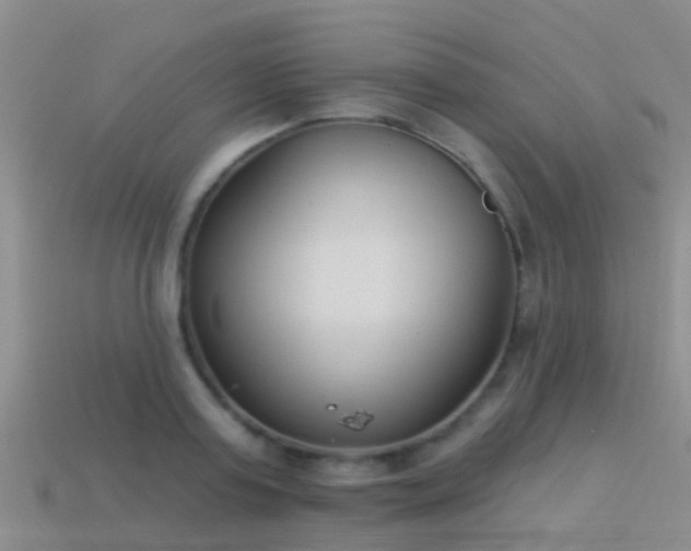 X0000114160795200910151605