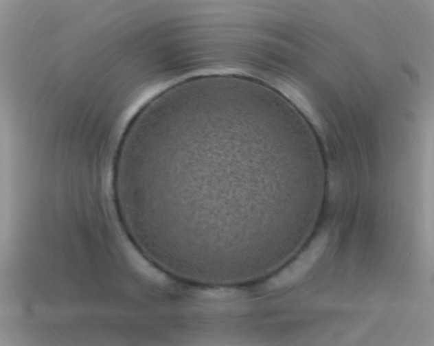 X0000114160797200910151605