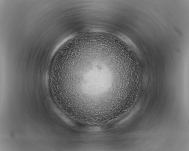 X0000114160798200910151605