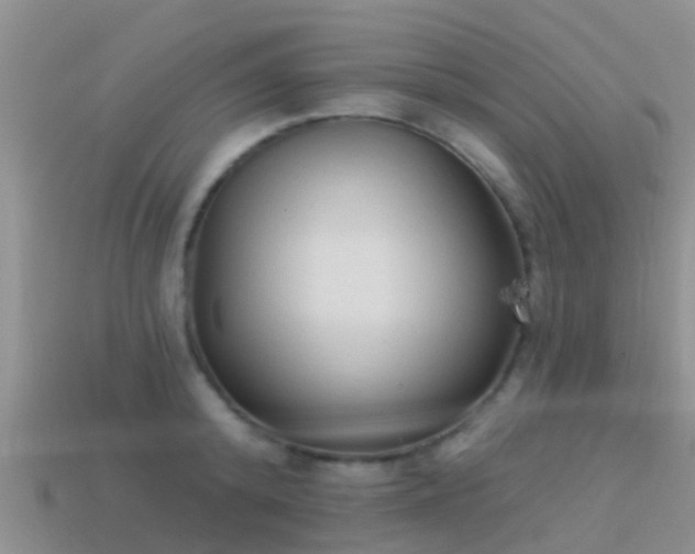 X0000114160800200910151605