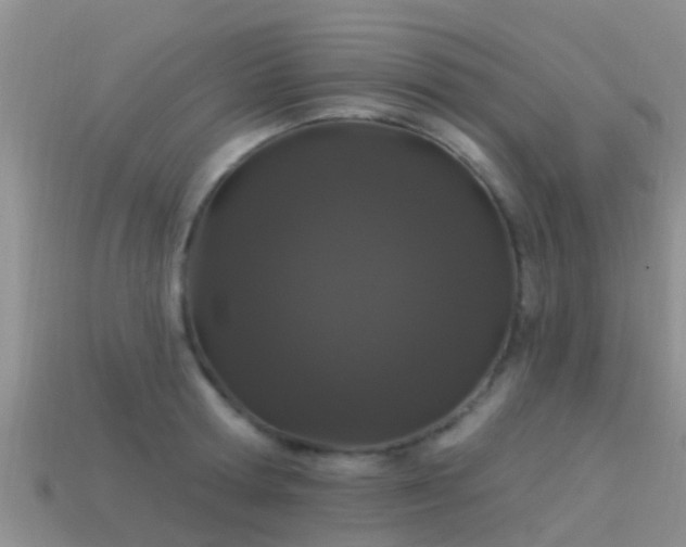 X0000114160802200910151605