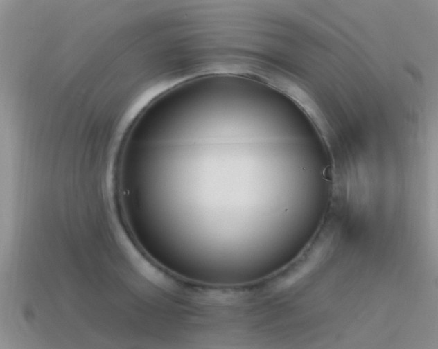 X0000114160803200910151605