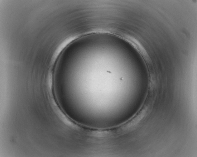 X0000114160804200910151605