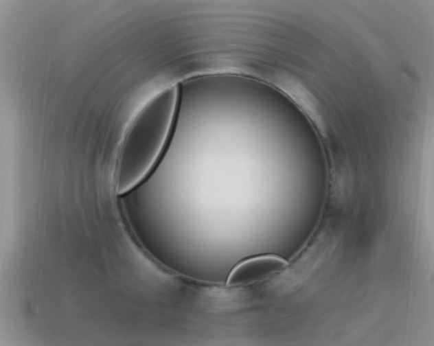 X0000114160805200910151605