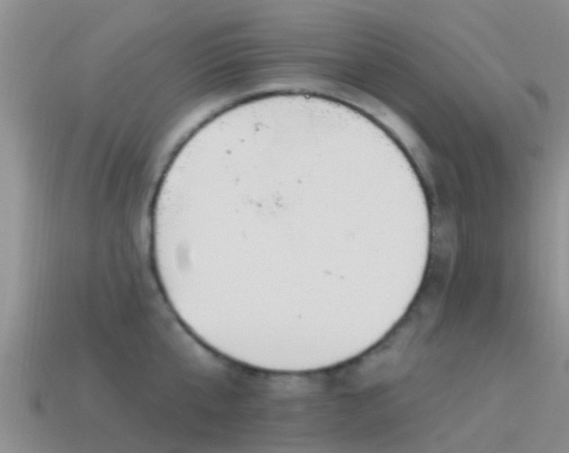 X0000114160807200910151605