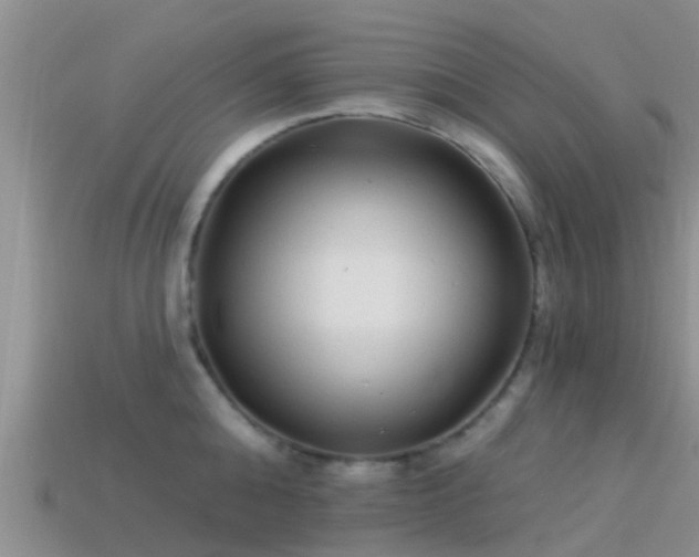 X0000114160808200910151605