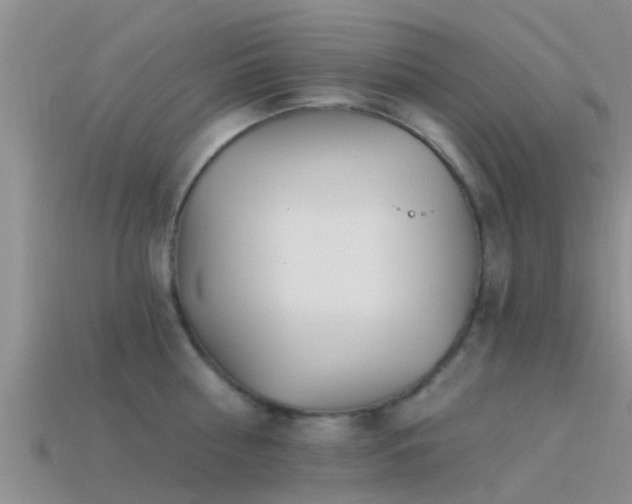 X0000114160810200910151605