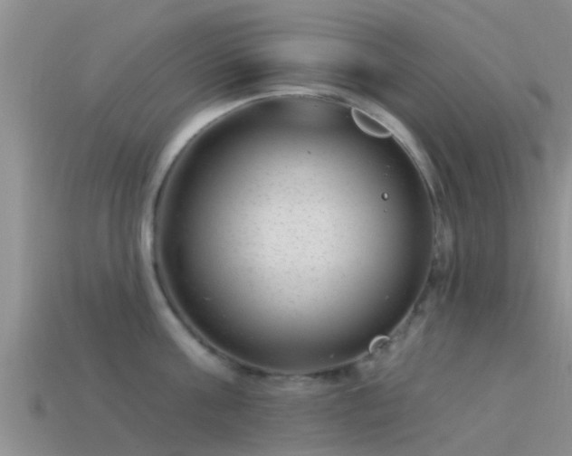 X0000114160811200910151605