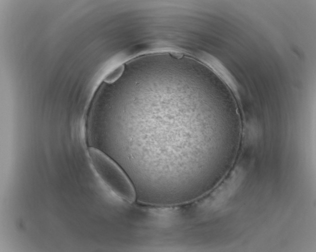 X0000114160813200910151605