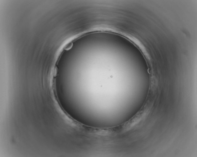 X0000114160815200910151605