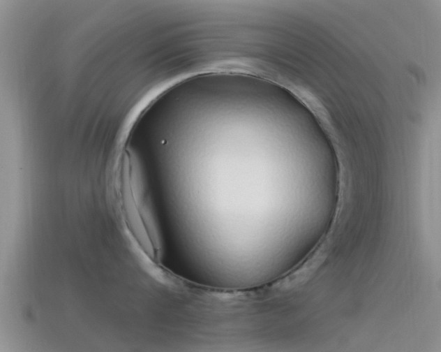 X0000114160816200910151605