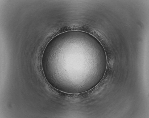 X0000114160817200910151604