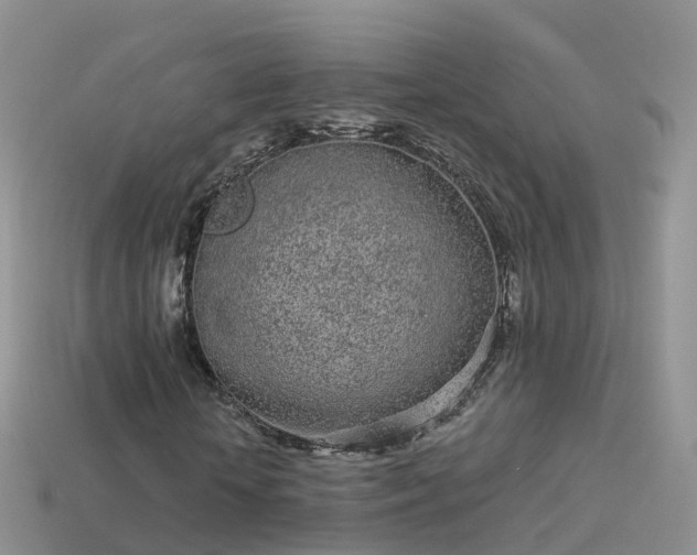 X0000114160818200910151604