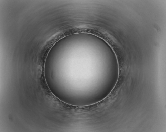 X0000114160821200910151604