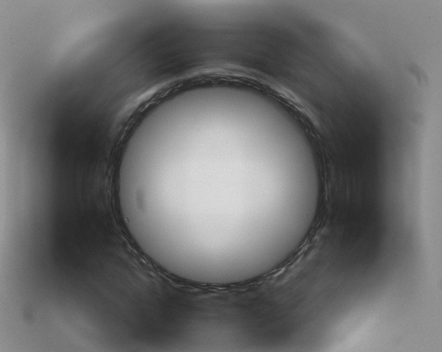 X0000114160822200910151604