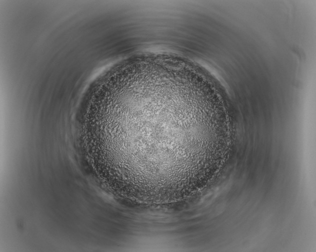 X0000114160823200910151604