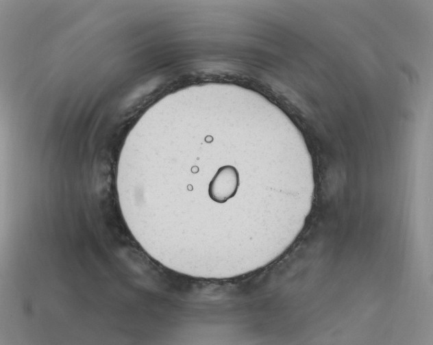 X0000114160824200910151604