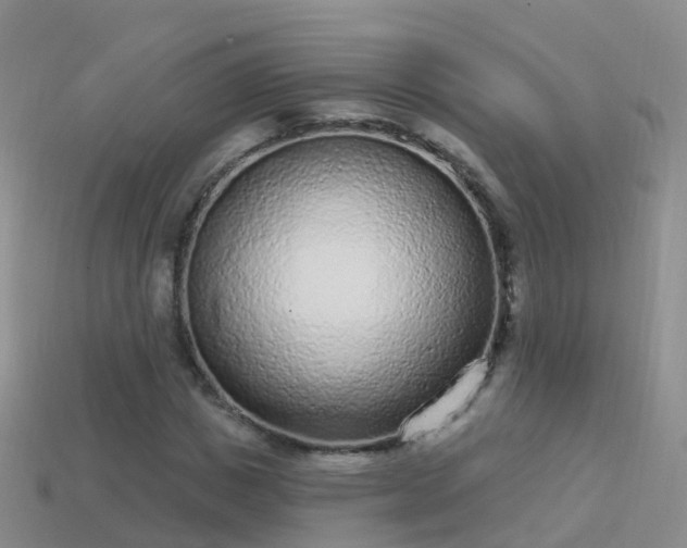 X0000114160825200910151604