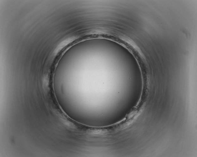 X0000114160826200910151604