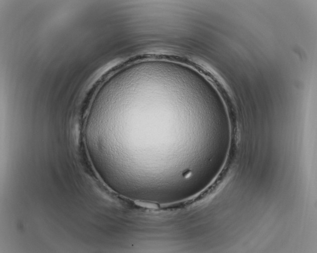 X0000114160829200910151604