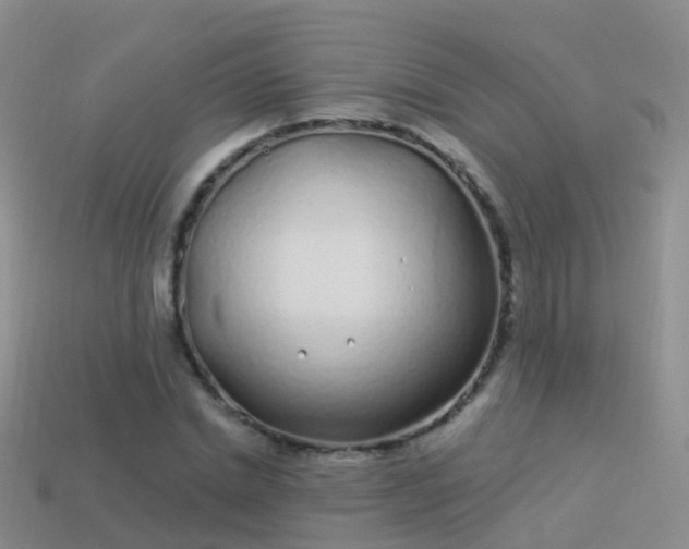 X0000114160830200910151604