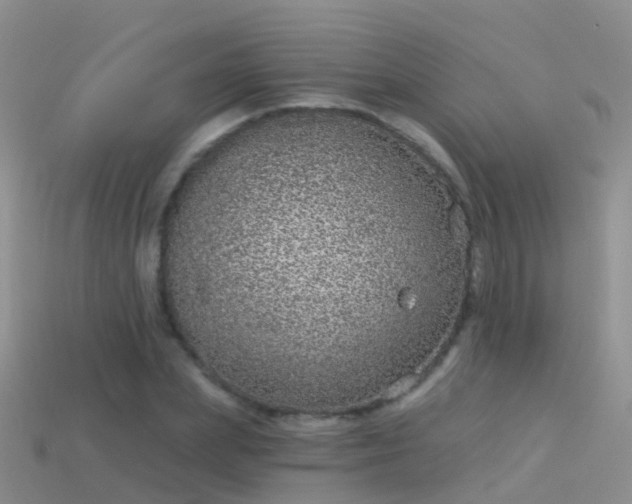 X0000114160831200910151604