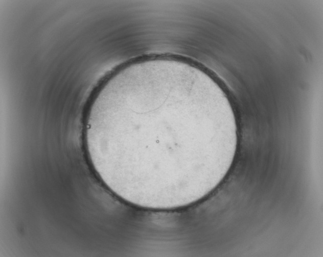 X0000114160832200910151604