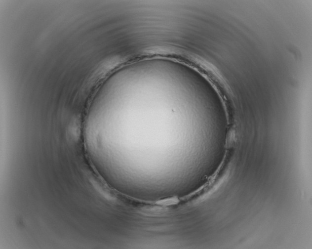 X0000114160833200910151604