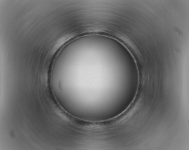 X0000114160834200910151604