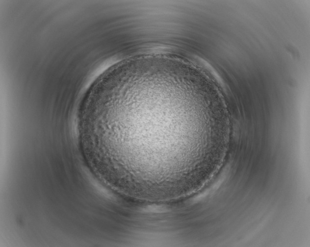 X0000114160835200910151604