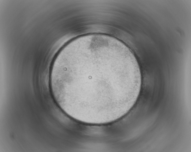 X0000114160836200910151604