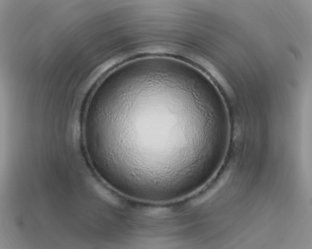 X0000114160837200910151604