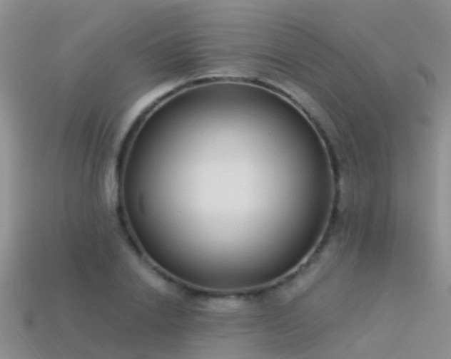 X0000114160838200910151604