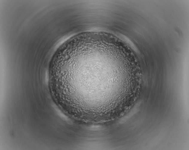 X0000114160839200910151604