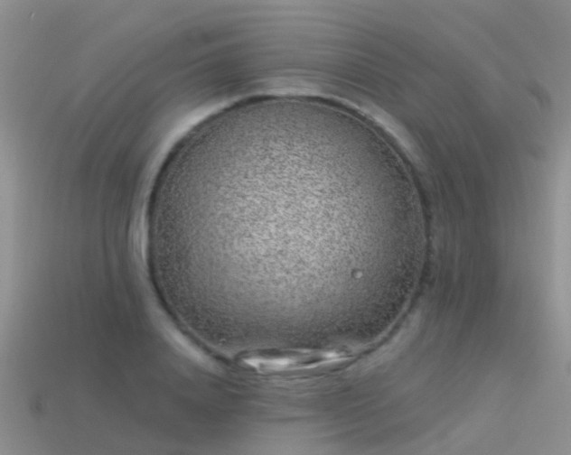 X0000114160840200910151604